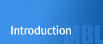 Introduction